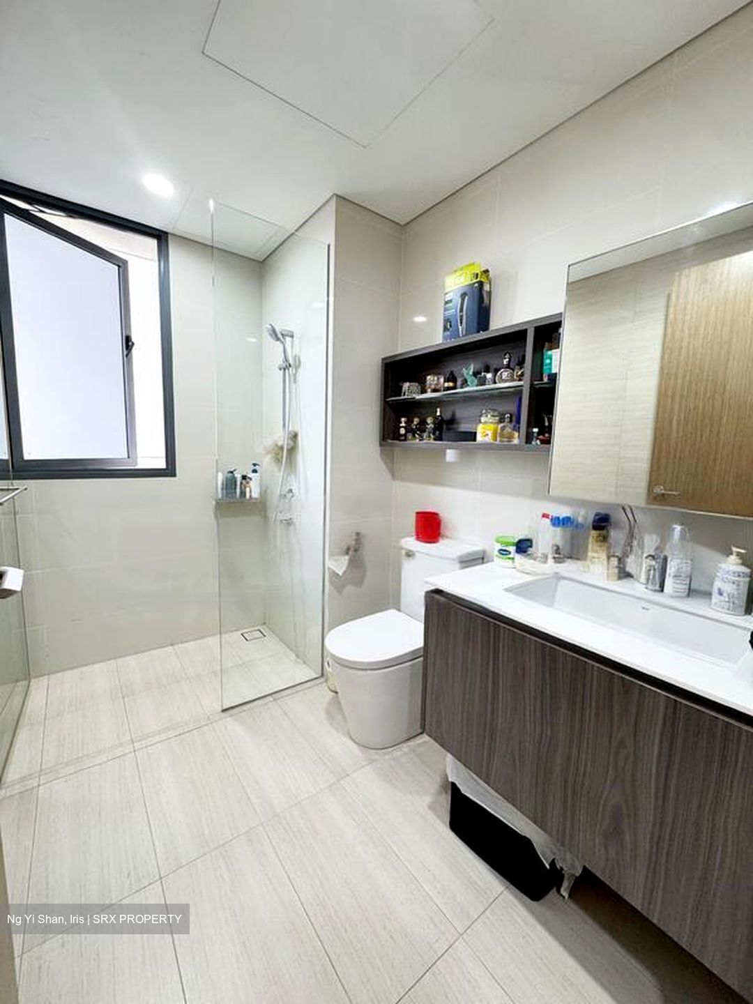 Lakeville (D22), Condominium #569750601